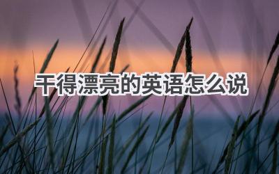 干得漂亮的英语怎么说