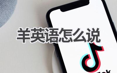 羊英语怎么说