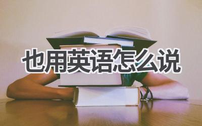 也用英语怎么说
