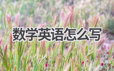 数学英语怎么写