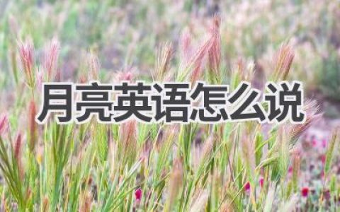 月亮英语怎么说