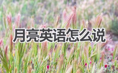 月亮英语怎么说