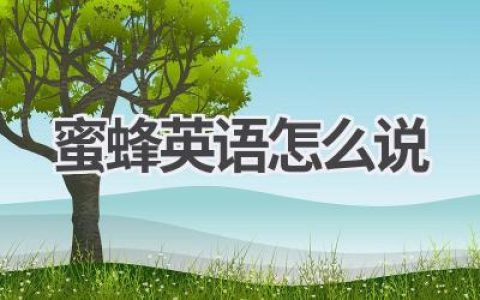 蜜蜂英语怎么说