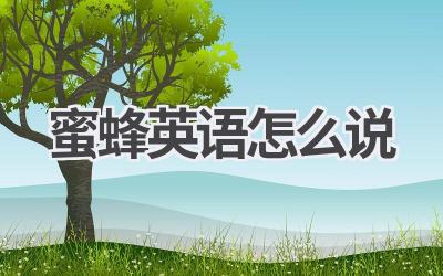 蜜蜂英语怎么说
