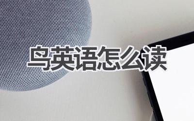 鸟英语怎么读