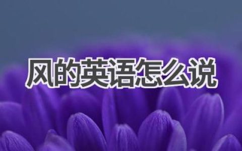 风的英语怎么说