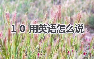 10用英语怎么说
