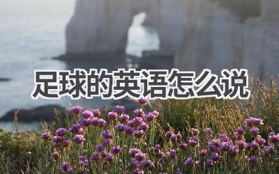 足球的英语怎么说