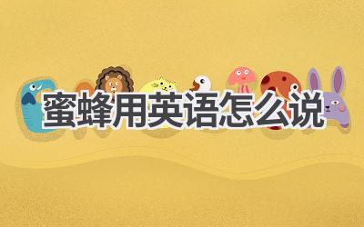 蜜蜂用英语怎么说