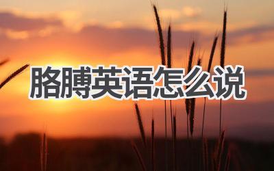 胳膊英语怎么说