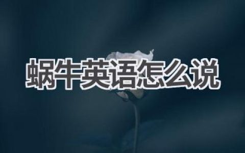 蜗牛英语怎么说