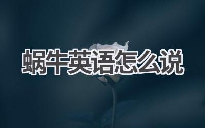 蜗牛英语怎么说
