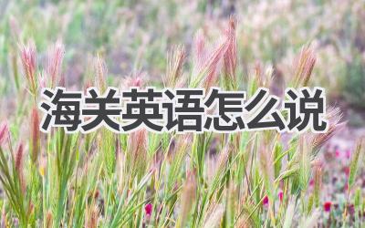 海关英语怎么说