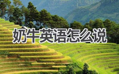 奶牛英语怎么说