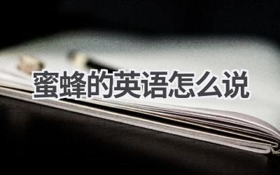 蜜蜂的英语怎么说