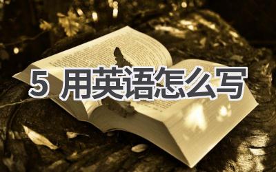 5用英语怎么写
