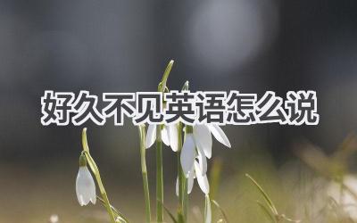 好久不见英语怎么说