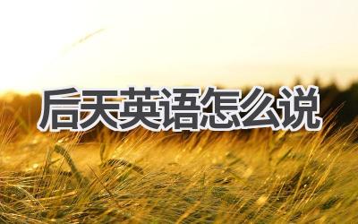 后天英语怎么说