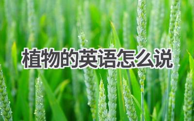 植物的英语怎么说