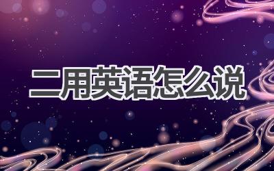 二用英语怎么说