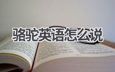 骆驼英语怎么说