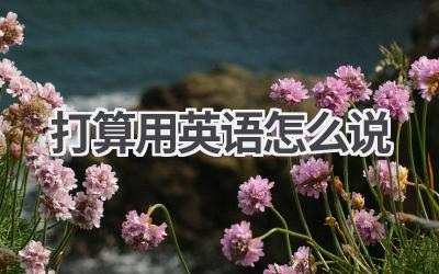 打算用英语怎么说