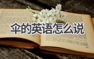 伞的英语怎么说