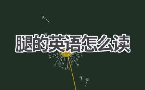 腿的英语怎么读