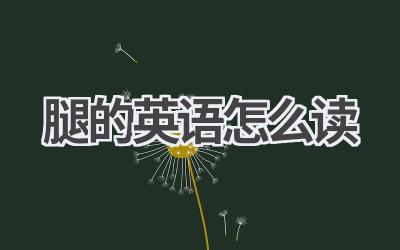 腿的英语怎么读