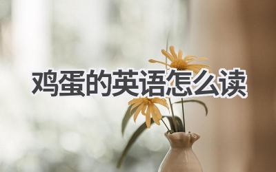 鸡蛋的英语怎么读