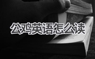 公鸡英语怎么读