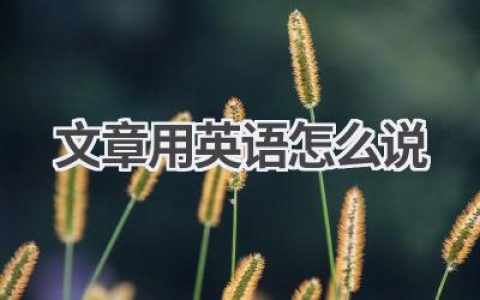 文章用英语怎么说