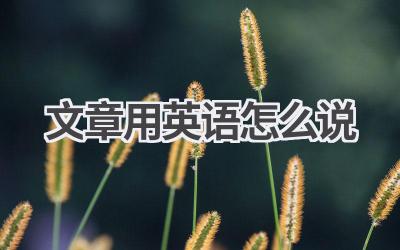 文章用英语怎么说