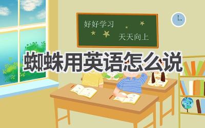 蜘蛛用英语怎么说