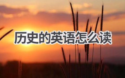 历史的英语怎么读