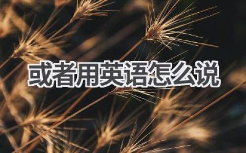 或者用英语怎么说