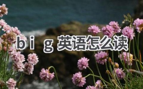 big英语怎么读