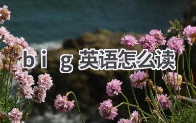 big英语怎么读