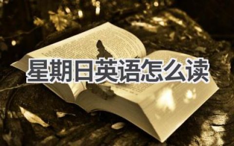 星期日英语怎么读