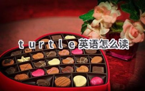 turtle英语怎么读