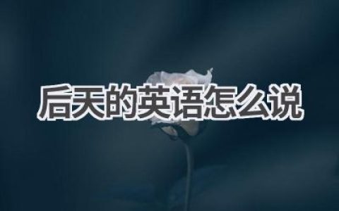 后天的英语怎么说