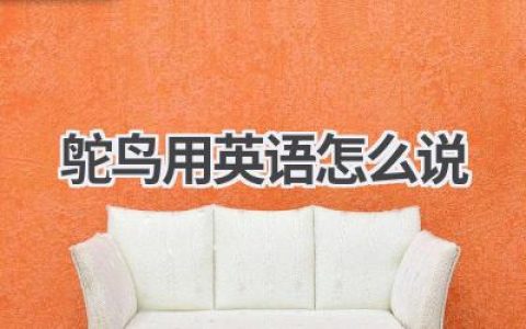 鸵鸟用英语怎么说