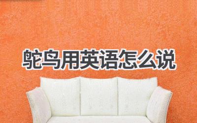 鸵鸟用英语怎么说