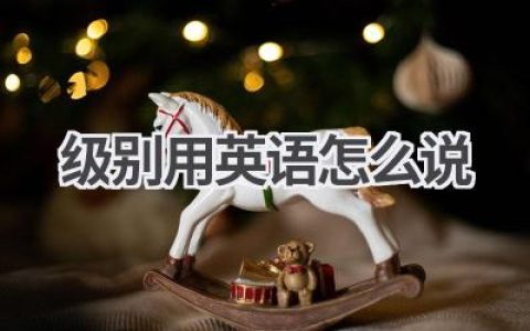 级别用英语怎么说