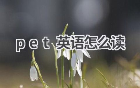 pet英语怎么读