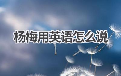 杨梅用英语怎么说