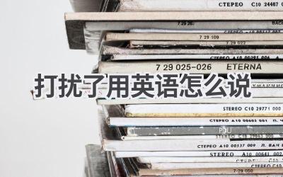 打扰了用英语怎么说