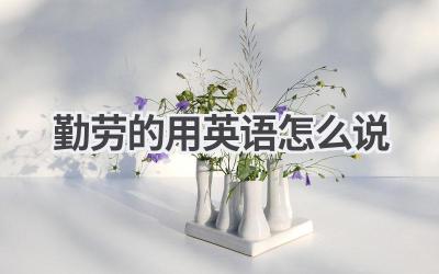 勤劳的用英语怎么说