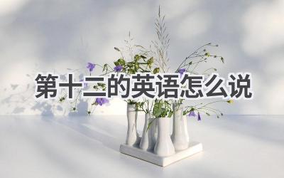 第十二的英语怎么说