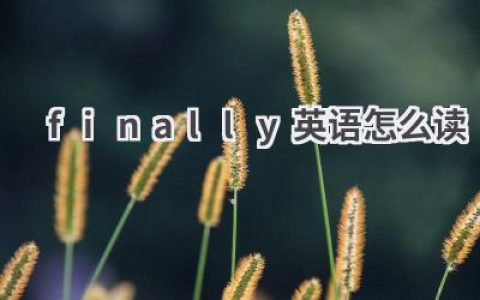 finally英语怎么读